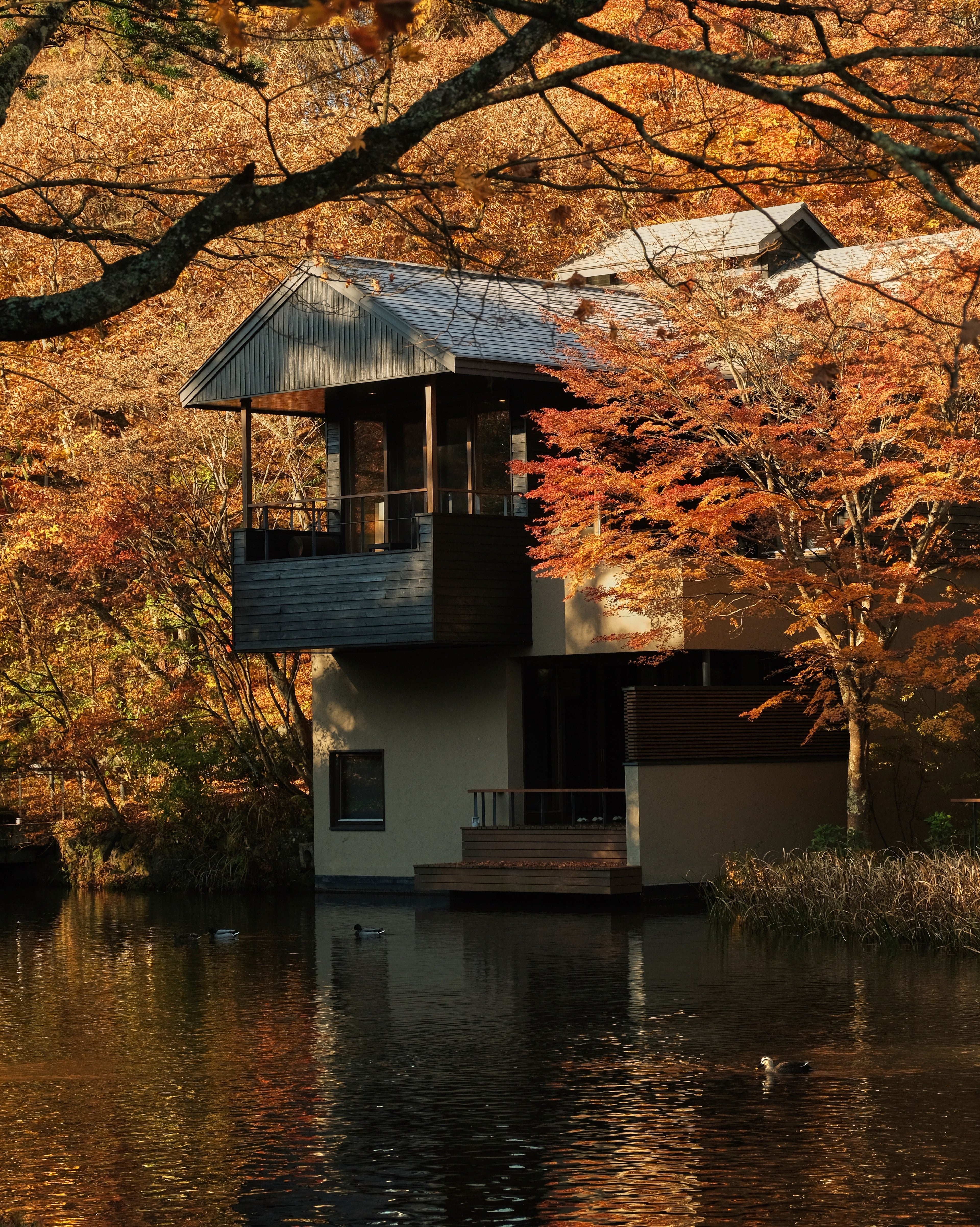 Hoshinoya Karuizawa by Rie Azuma / Hiroki Hasegawa, 2005