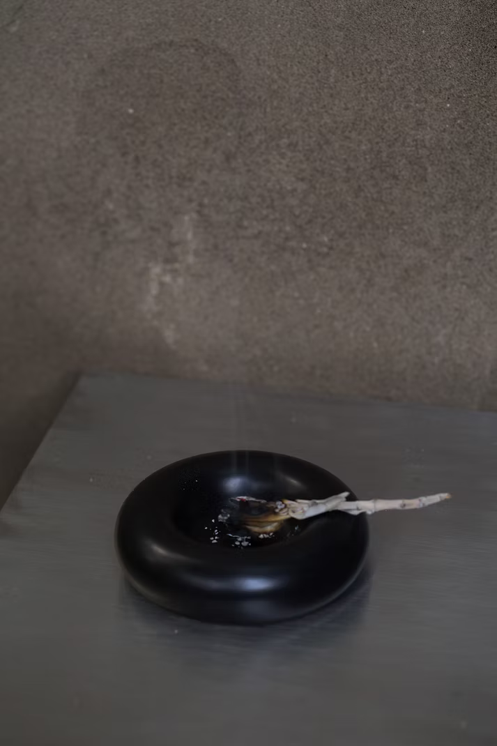 圈 Quan Tray No.3 by OPEN OBJECT